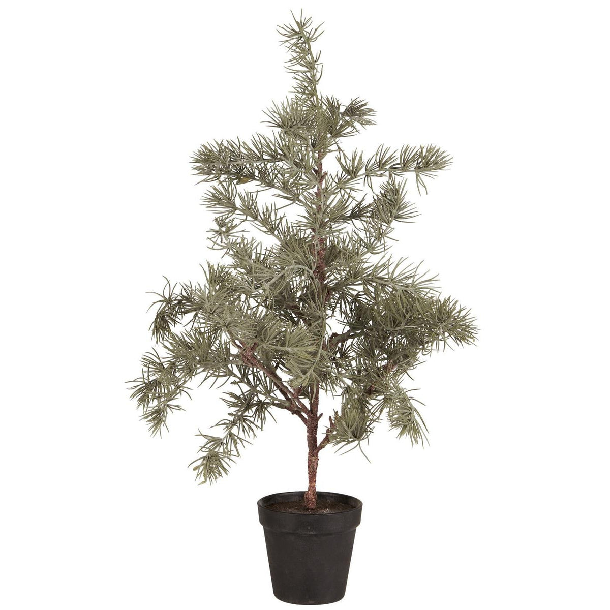 Ib Laursen koristepuu seetri 60 cm