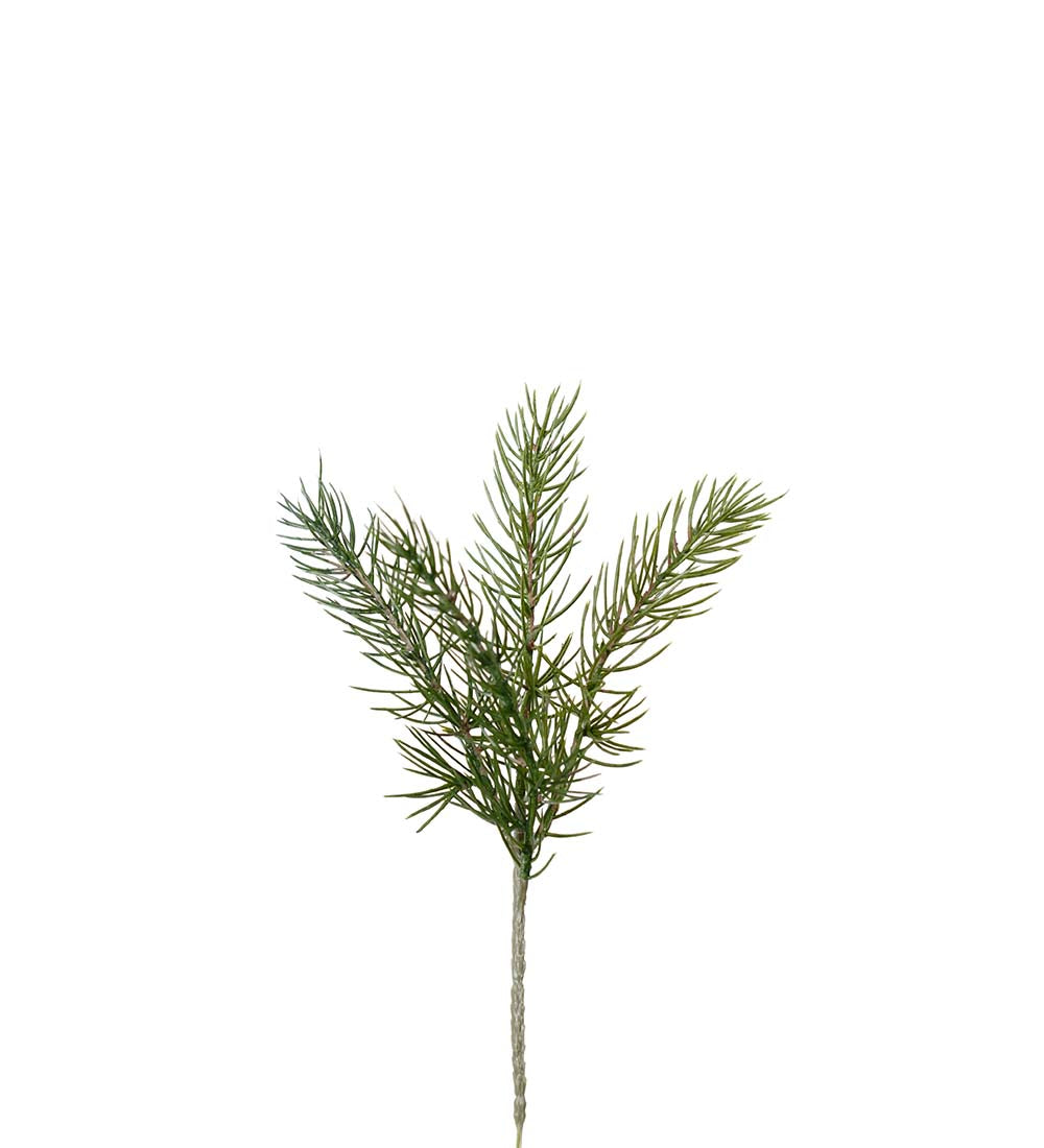 Mr Plant havuoksa 30 cm