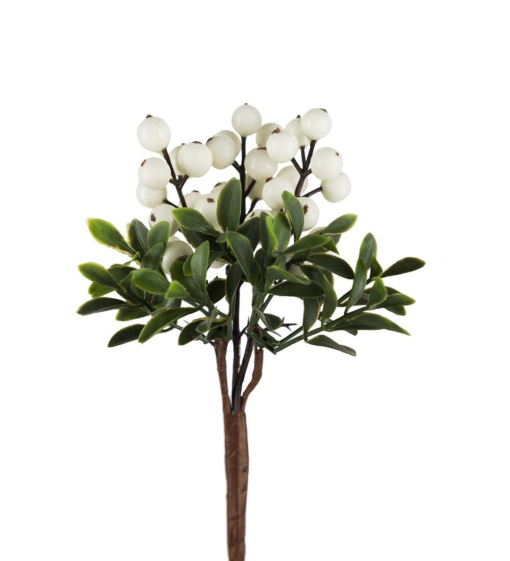 Mr Plant pieni marjaoksa valkoinen 20 cm
