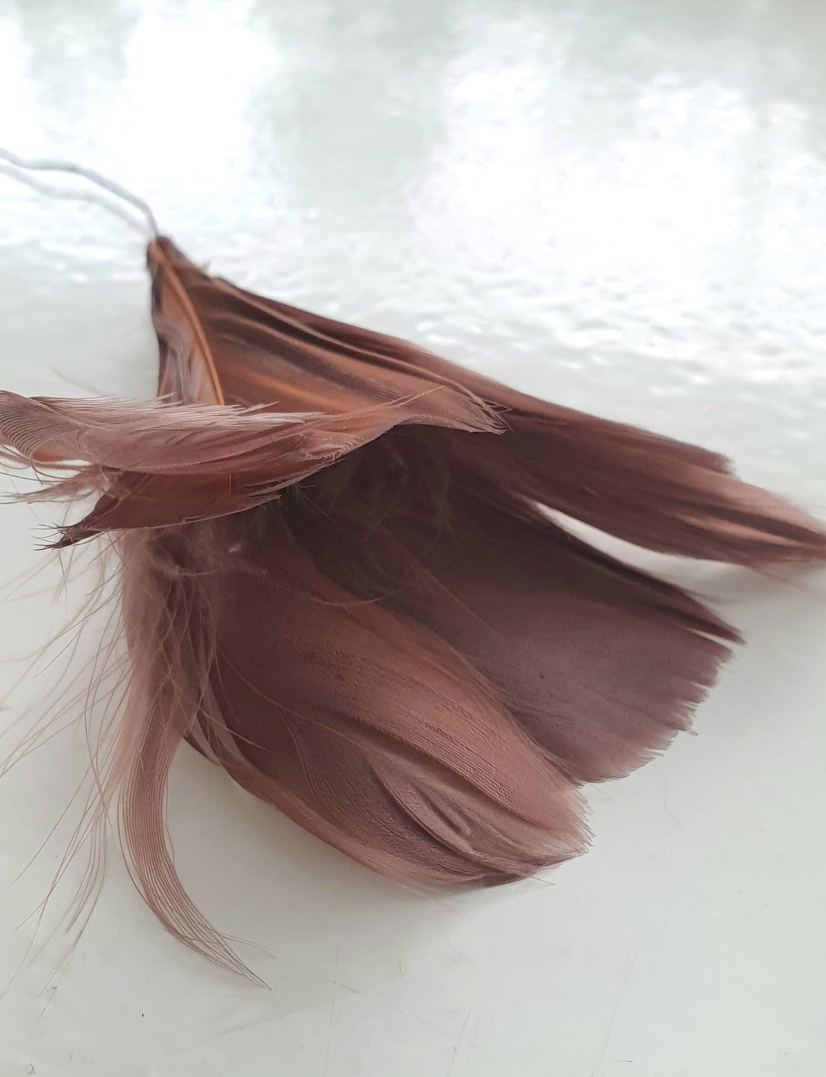 A Lot höyhenkukka ruskea 12kpl/pkt